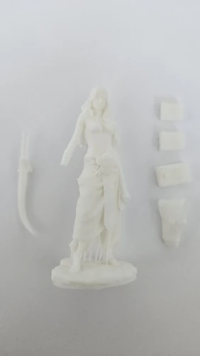 Buyer photo of this resin kit
