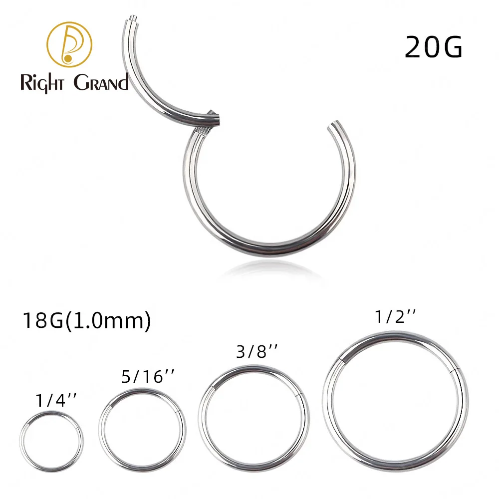 Right Grand Hypoallergenic Nose Rings ASTM F136 Titanium Septum Jewelry Hinged Segment Ring Body Piercing Nose Hoop Lip Rings