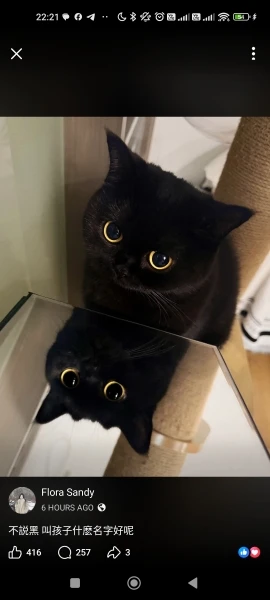 실물 포토 리뷰