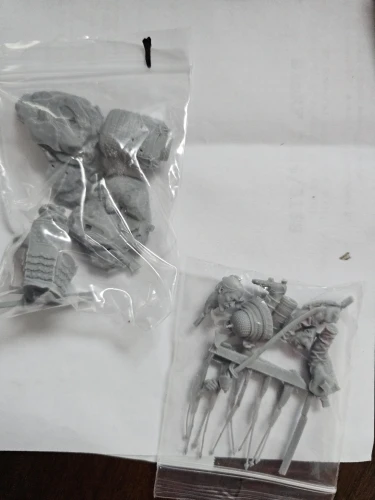 Buyer photo of this resin kit