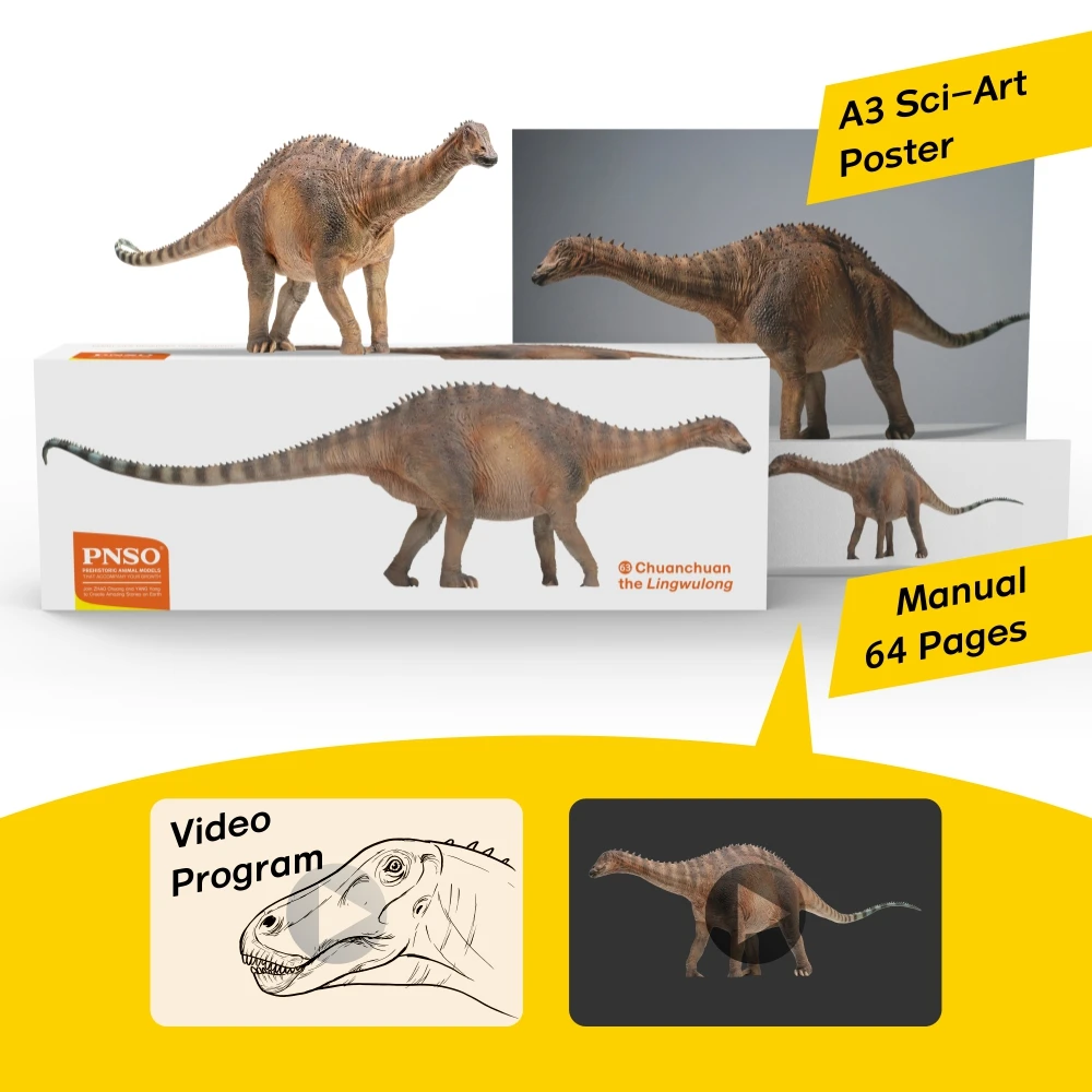 PNSO Prehistoric Dinosaur Models: 63 Chuanchuan the Lingwulong