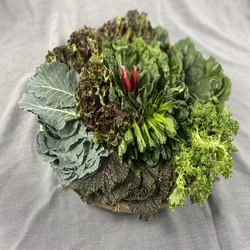 قطاعة خضروات متنوعة ، g ، 1 ، من 5 إلى 8 أنواع