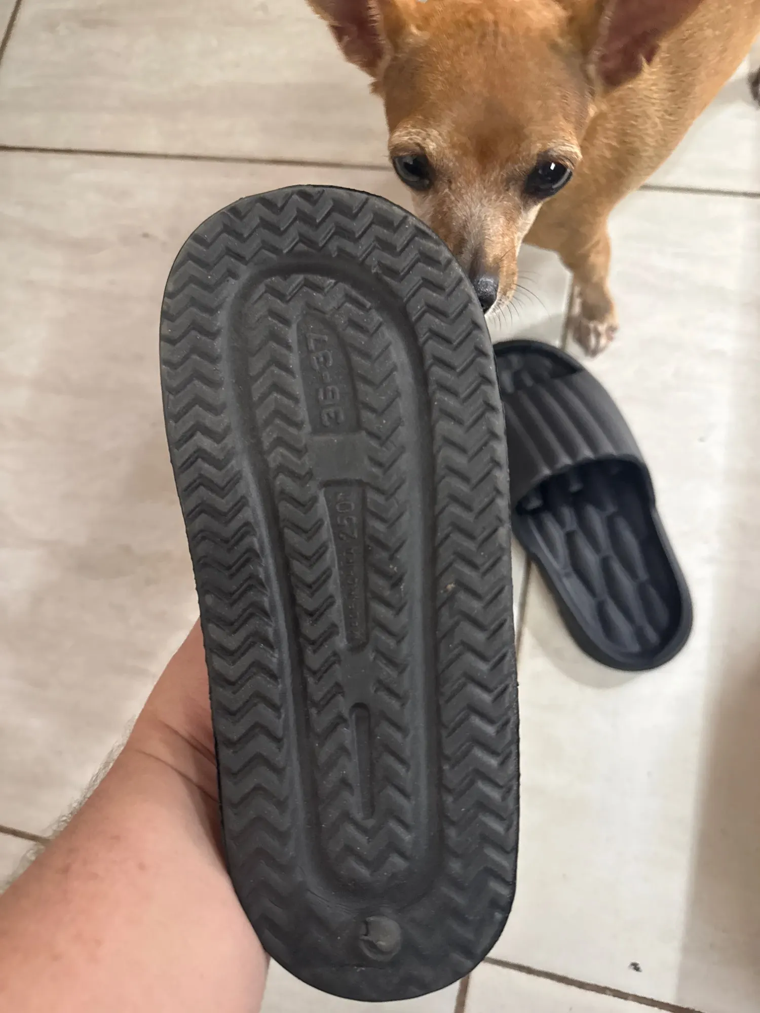 리뷰 사진