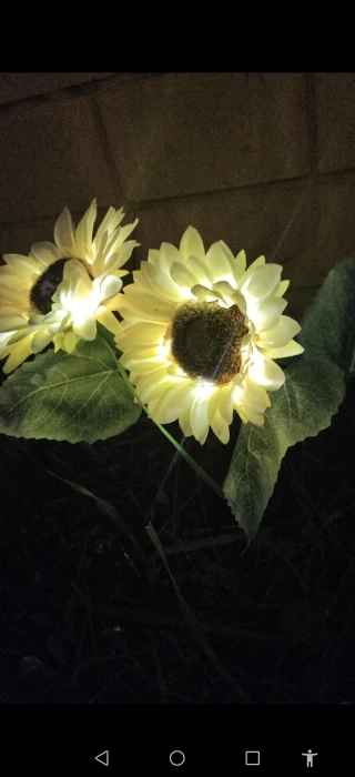 LED Solar Sunflowers Rose Flower Light Home Decorative Flower Lights Garden Decoration Lawn Lamp Waterproof Landscape Rose Light photo review