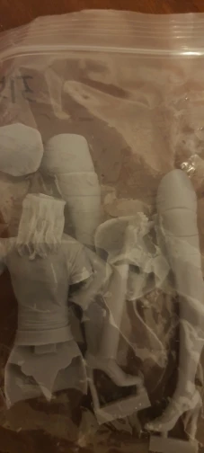 Buyer photo of this resin kit