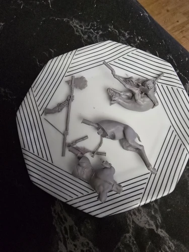 Buyer photo of this resin kit