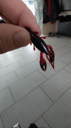 Imagen de reseña 3