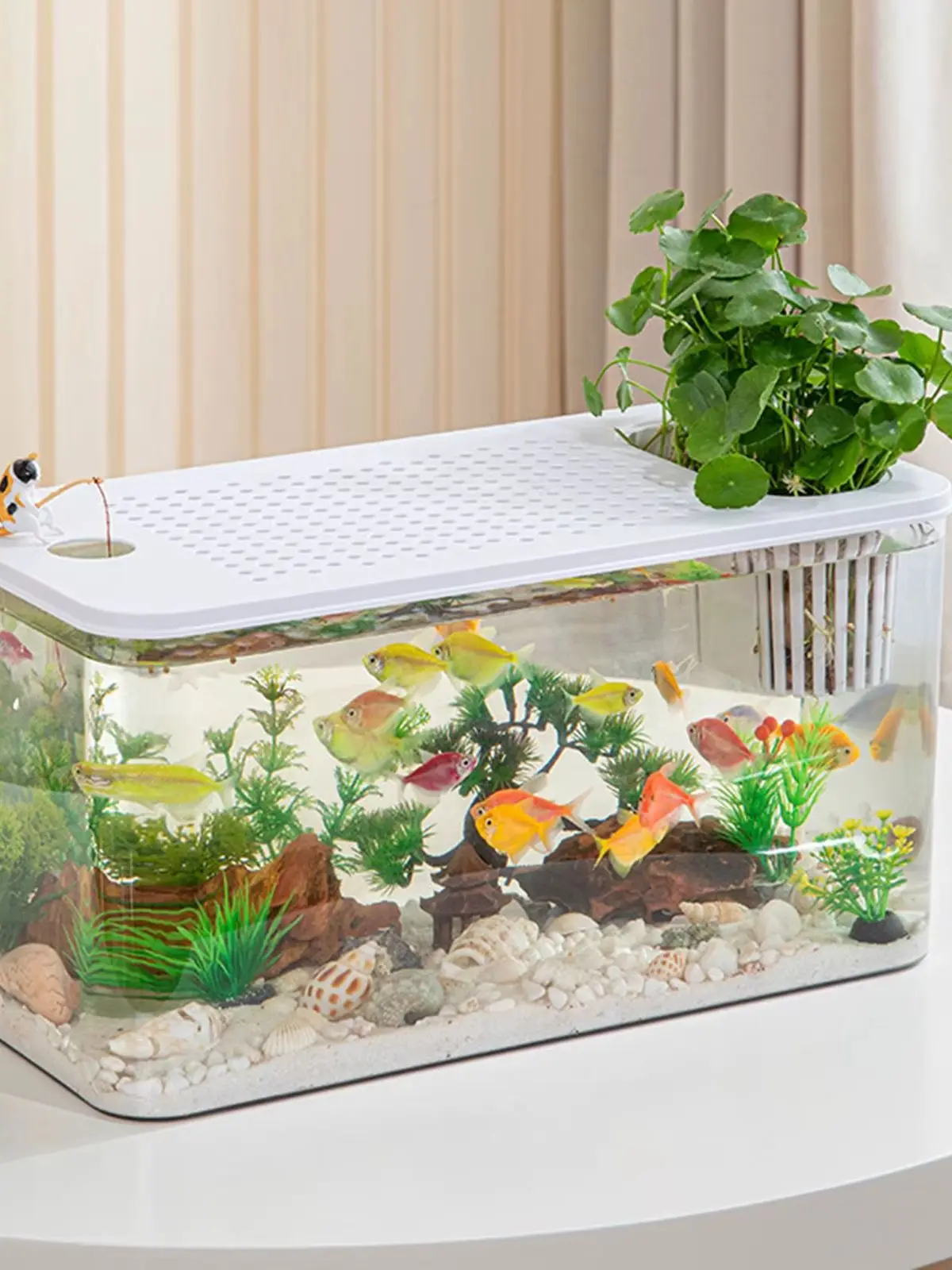 Reptile Terrarium Clear Habitat Box 6