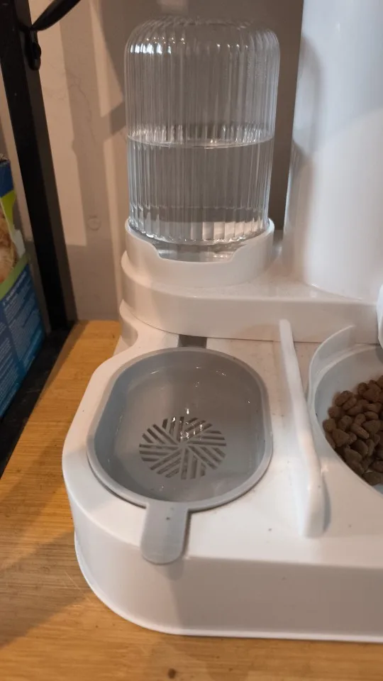 Customer review photo for Dual-Bowl Automatic Cat Feeder for Two Pets