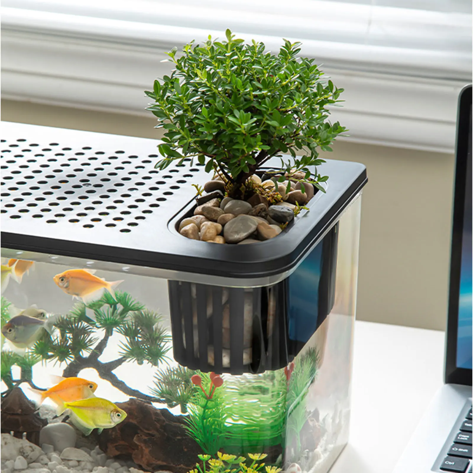 Thumbnail 3 - #57 Budget Cages & Pens for Smart Shoppers