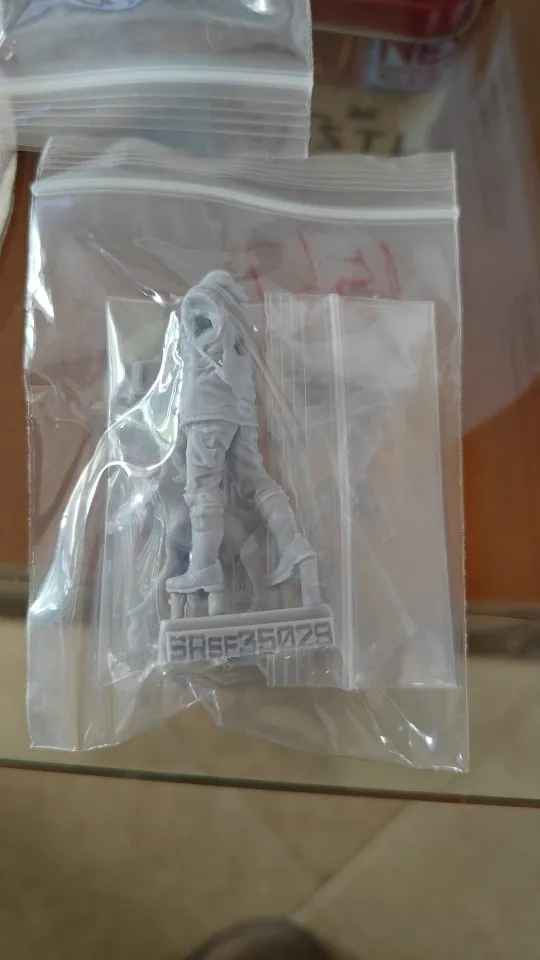 Buyer photo of this resin kit