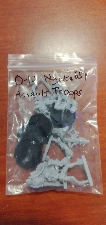 Buyer photo of this resin kit