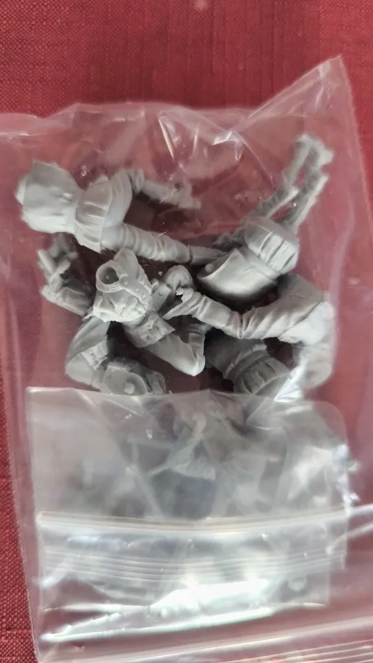 Buyer photo of this resin kit