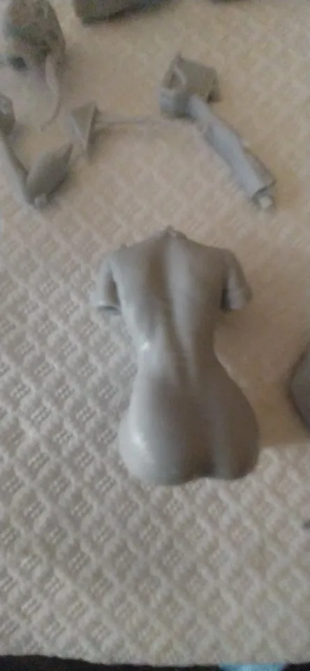 Buyer photo of this resin kit