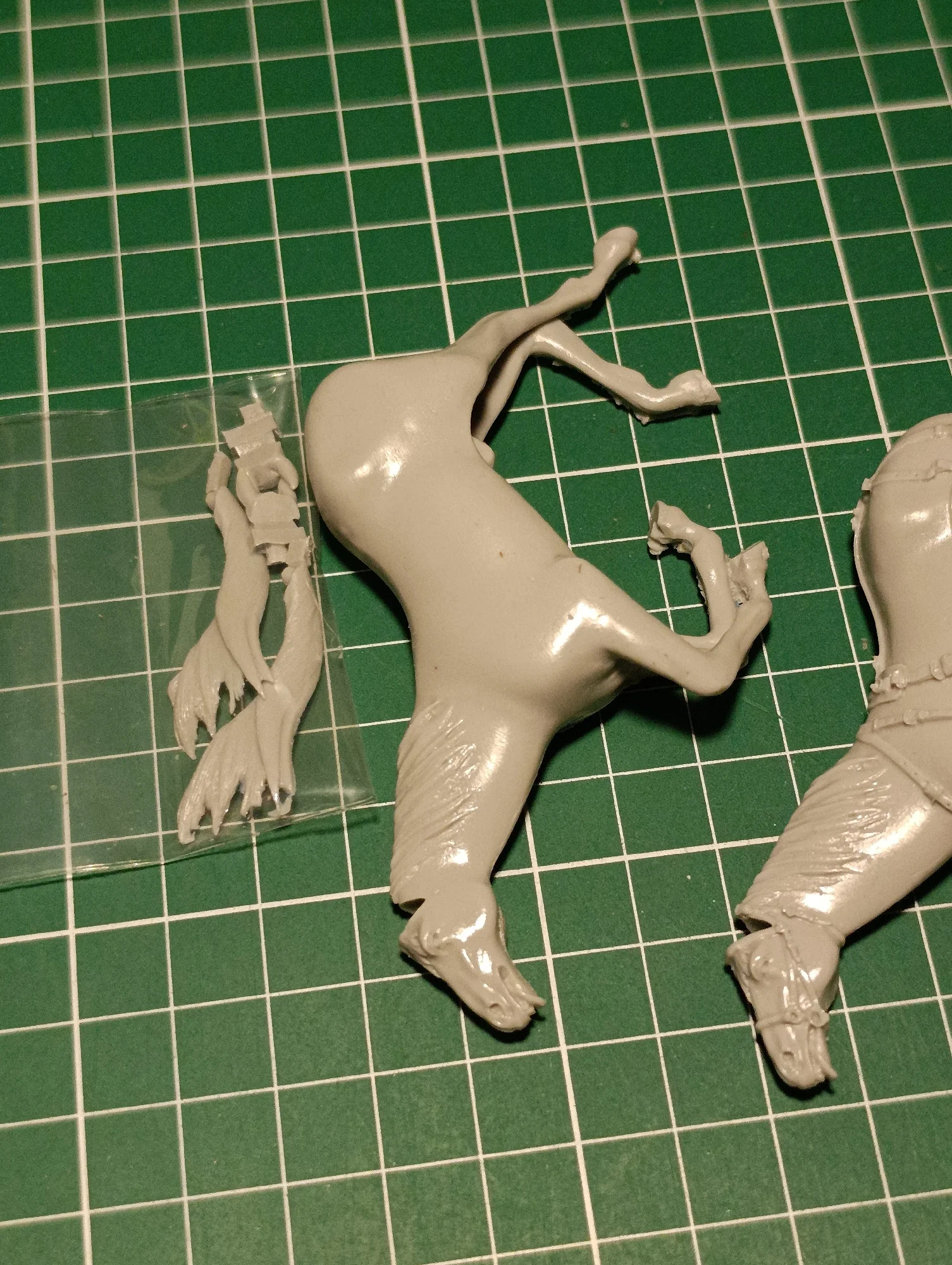 Buyer photo of this resin kit