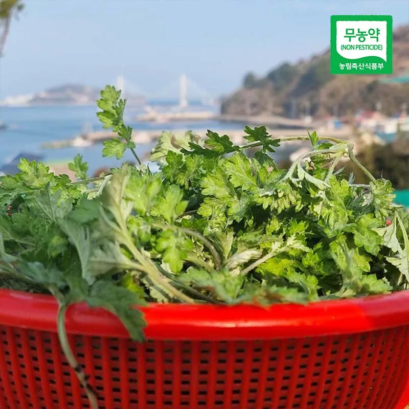 1kg of sea-Pung Wormwood in Jeju-free pesticide-free