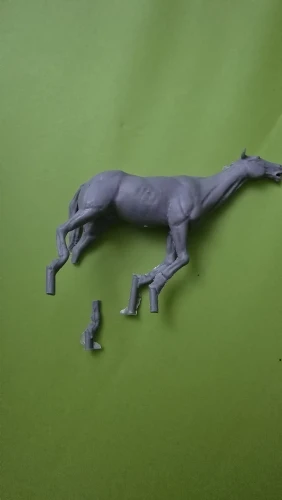 Buyer photo of this resin kit