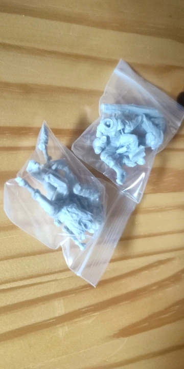 Buyer photo of this resin kit