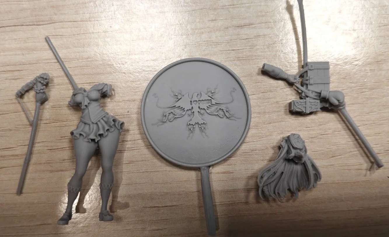 Buyer photo of this resin kit