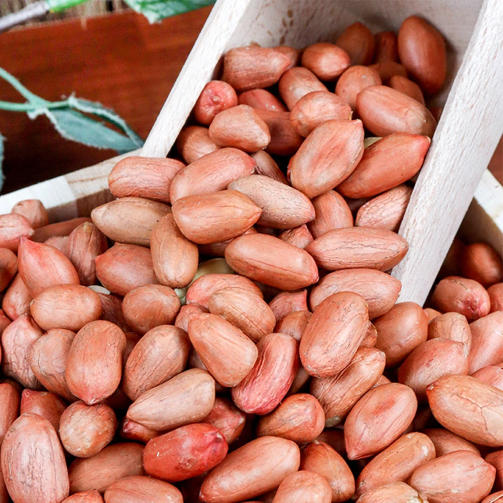 Large Capacity roasted red peanuts 400g + 400g