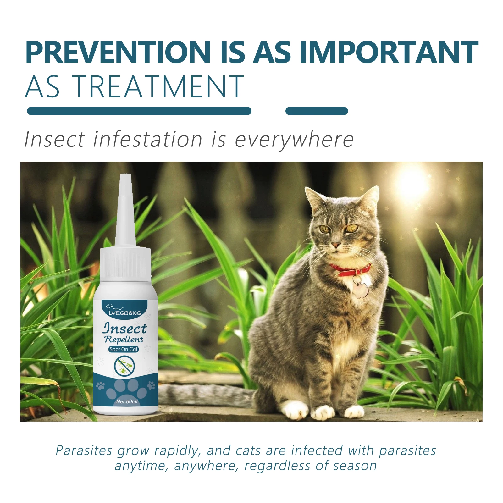 Thumbnail 3 - #3 New Pet Flea & Tick Controls Arrivals