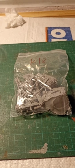 Buyer photo of this resin kit
