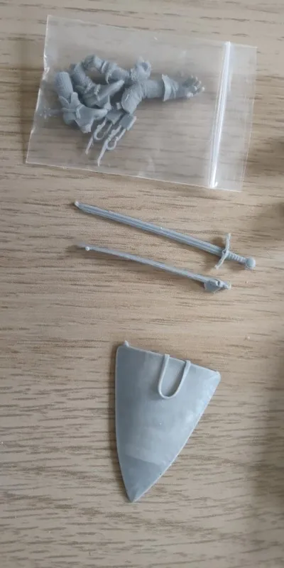 Buyer photo of this resin kit