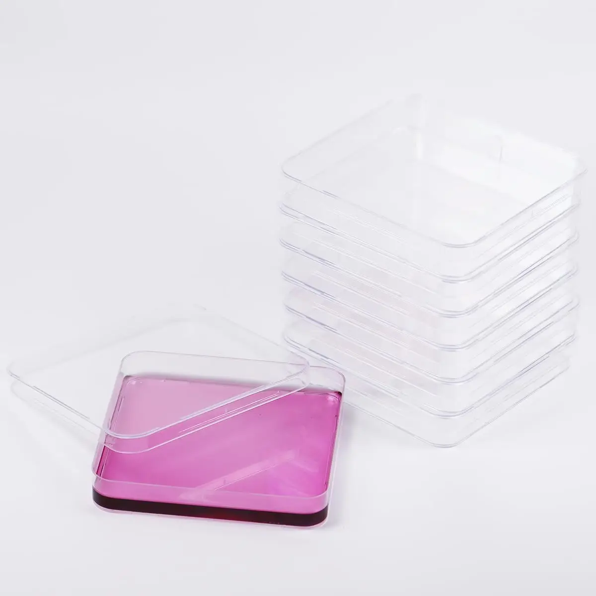 

13*13cm Square with tick marks disposable Petri Dish bacterial culture plate sterilization dish 10pcs/bag