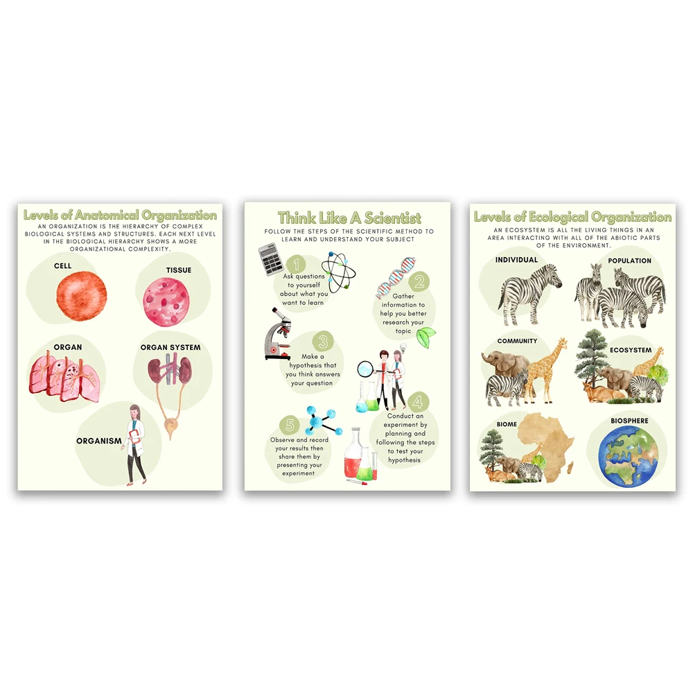 Fun Biological Science School Education Wall Art Canvas Painting Nordic Posters and Printed Wall Pictures for Classroom Decor