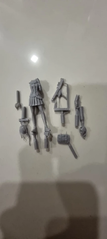 Buyer photo of this resin kit
