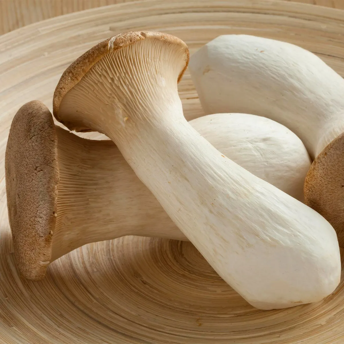 2kg of domestic unborn bird mushrooms