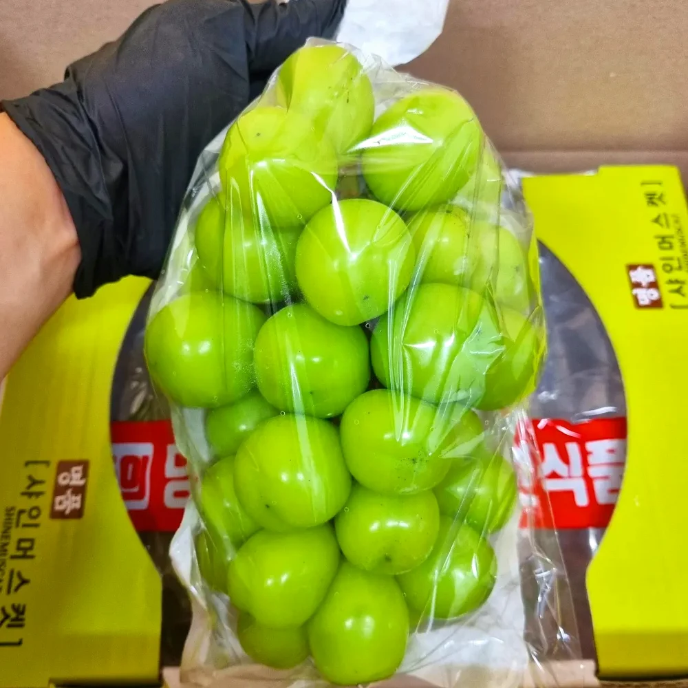 고당도 샤인머스켓 수출용 프리미엄