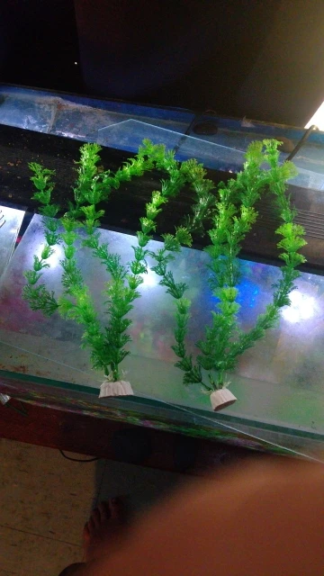 구매후기