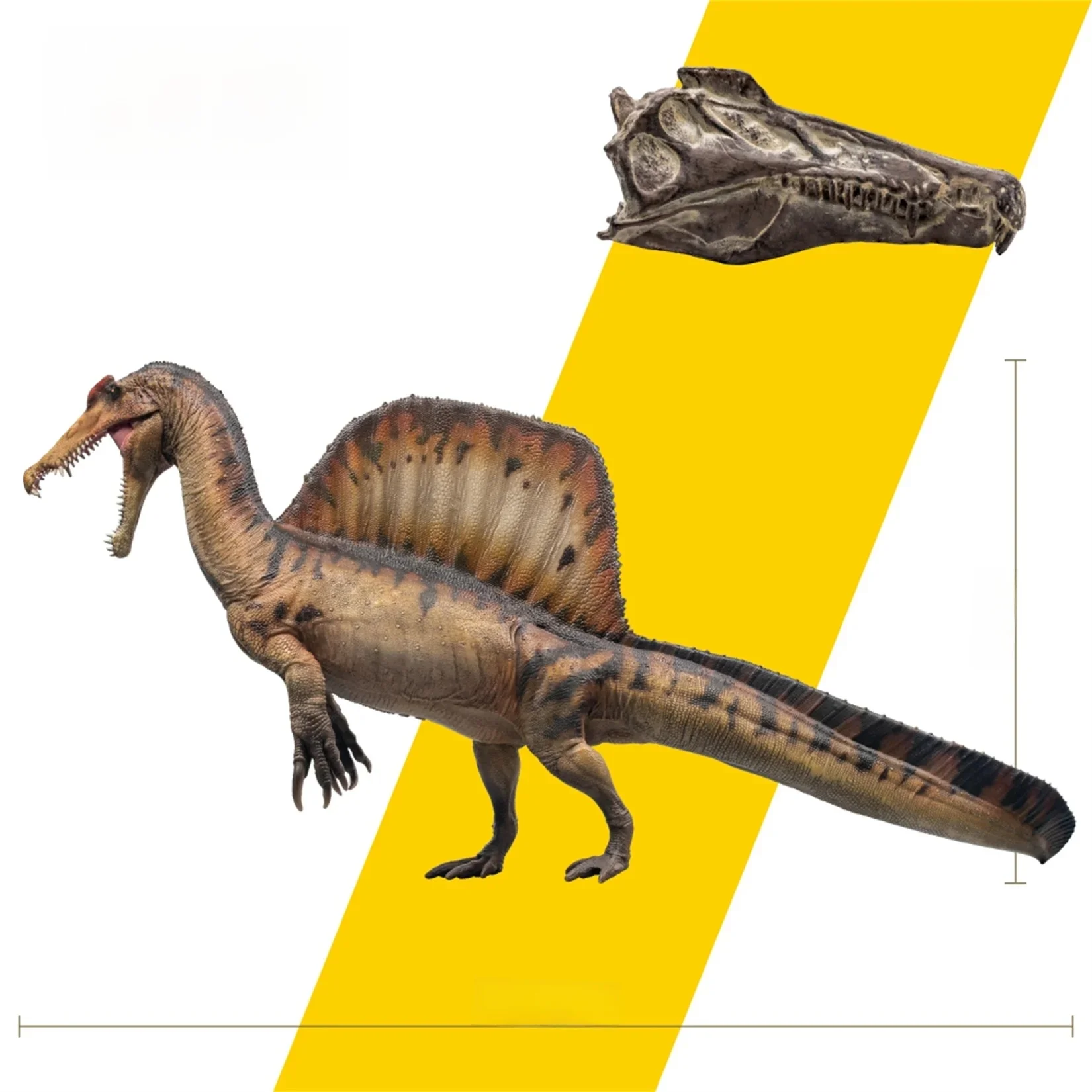 PNbucDinosaur Museums Series 19 Modèle AYMEN, Collection scientifique de dinosaures préhistoriques, Cadeau de décoration GK, Spinosaurus