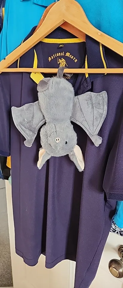 Cartoon Bat Plush Toy Soft Stuffed Animal for Car Rearview Mirror Hanging Decor Funny Design Fluffy Hanging Bat 20cm photo review