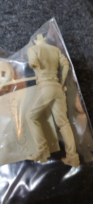Buyer photo of this resin kit