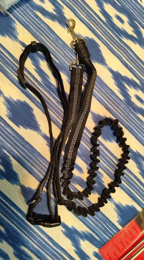 Customer review photo for Hands-Free Bungee Dog Leash with Adjustable Waist Belt