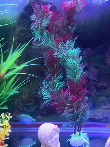 2 पीस 30 सेमी छोटे फजी घास लाल हरा कृत्रिम जलीय पौधे मछली टैंक सजावट प्लास्टिक एक्वेरियम भूनिर्माण 10 best sales मछली टैंक के पौधे - №5