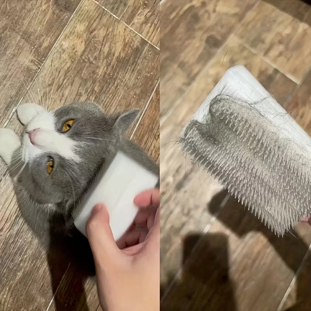 Brosse de massage pour chat et chien éponge de toilettage double_voghion.com
