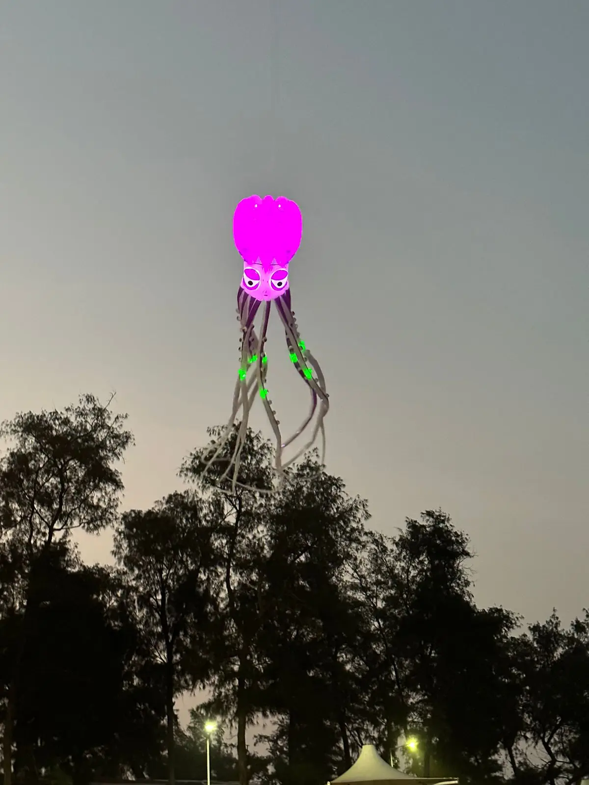 10/12M LED Kite soft Octopus night kite with battery remote control in high brightness by round corner LED well prototect kite