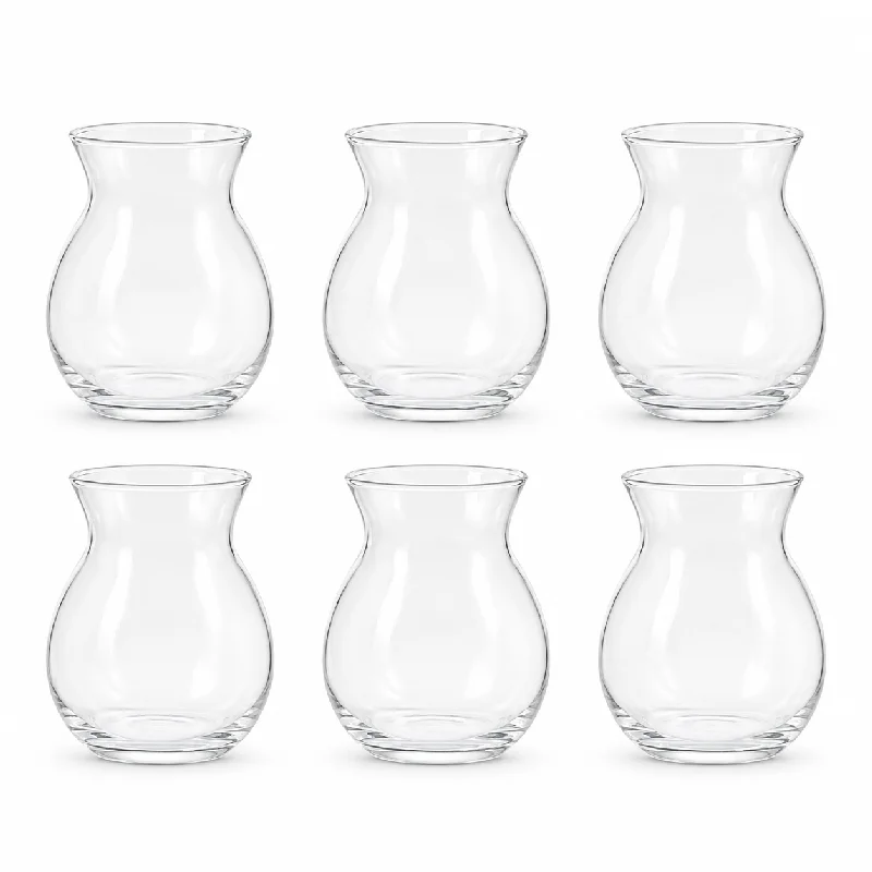 6 ชิ้น 220 มล. แจกันแก้วบอโรซิ - Candle Supplies Glass Jars บทวิจารณ์และราคา