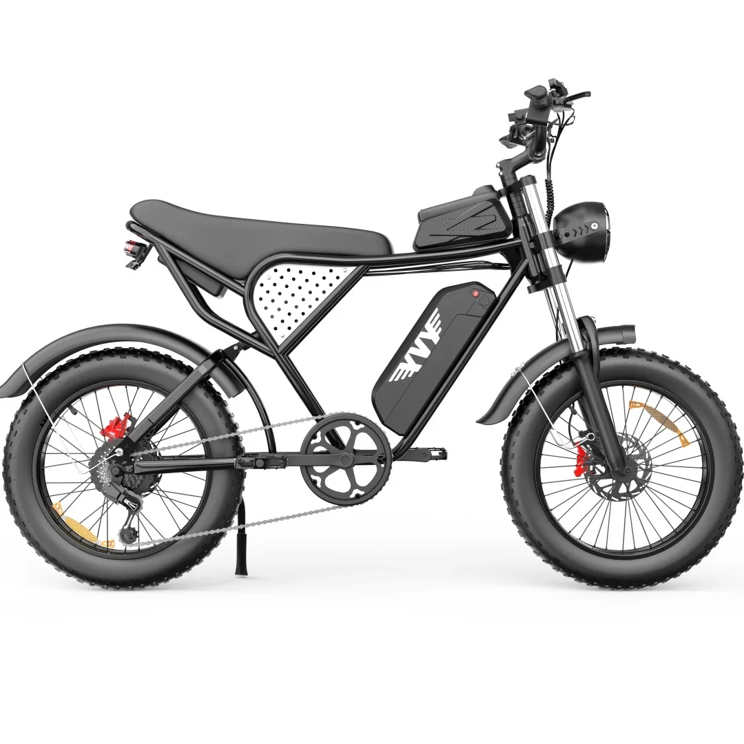 BRAND NEW Electric Mountain Bike RidstarS Q20 Electric Bike 48V 20AH Battery 1000W Motor 20inch Tires Mileage 150KG Max