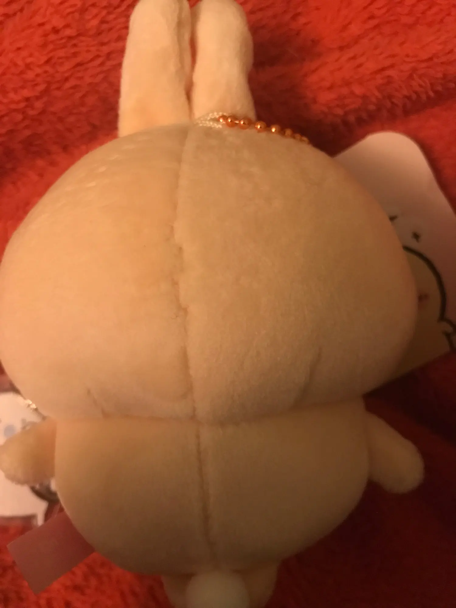 실물 포토 리뷰