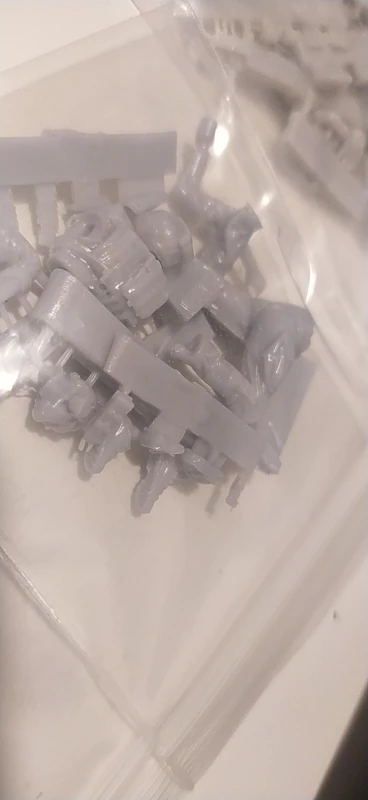 Buyer photo of this resin kit
