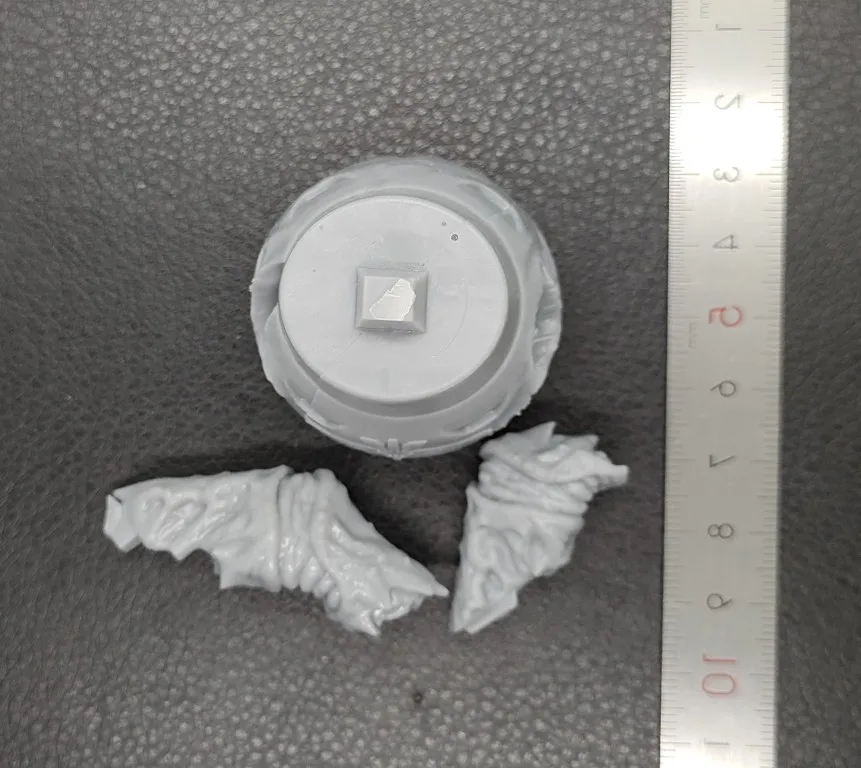 Buyer photo of this resin kit
