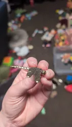 Imagen de reseña 4