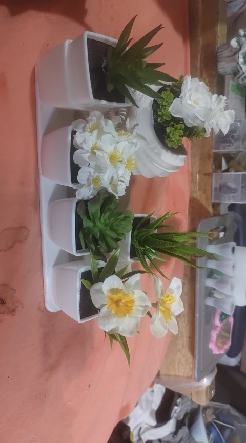 6PCS, Artificial Plants Small Bonsai, DIY Crafts desktop Windowsill Display Rack Display Decoration photo review