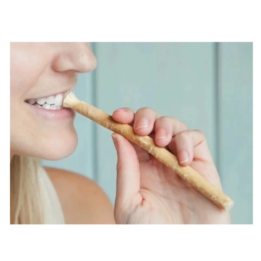 

10 Pack Fresh Traditional Natural Toothbrush Miswak Arak Siwak Teeth Whitening Soft Caries Protection Breath Deodorizing Refreshing Natural High Quality 2023 Standard Size Bulk Shipment Fast Delivery America Canada