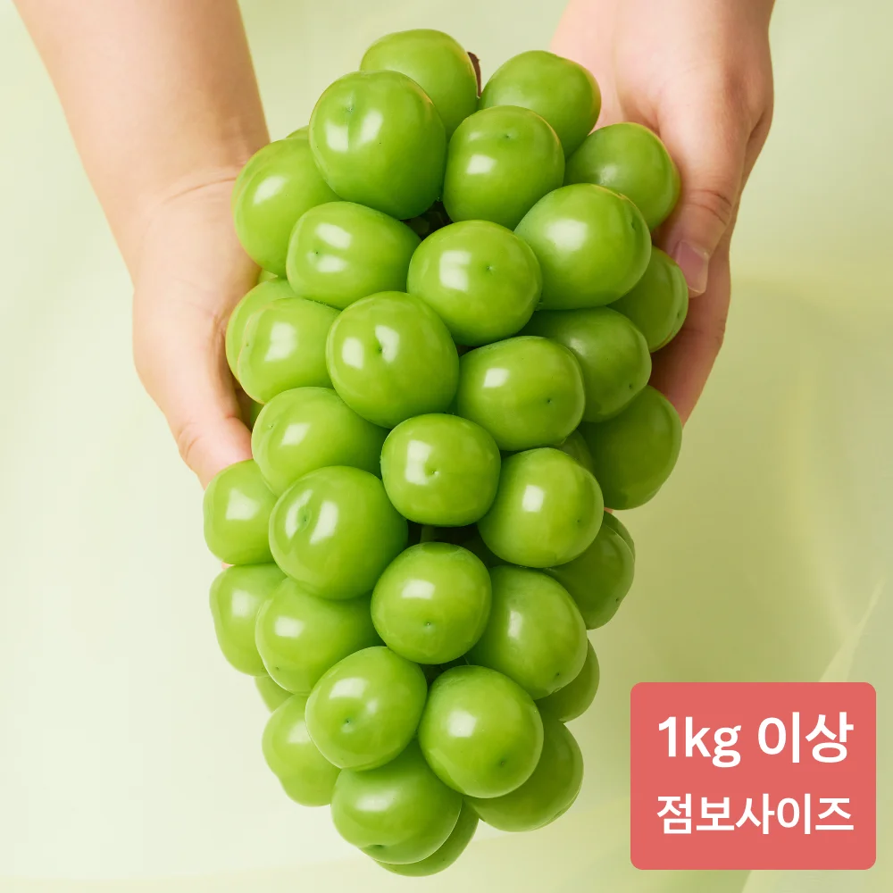 ShineMuscat-التالي بريغز سوبر جامبو ، 1 أو أكثر لكل منهما