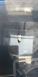 Imagen de reseña 3
